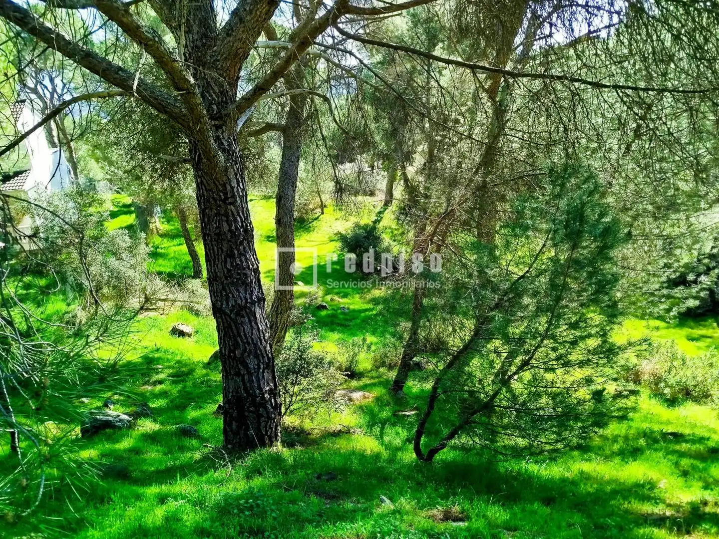 Residencial en venta en San Martín de Valdeiglesias