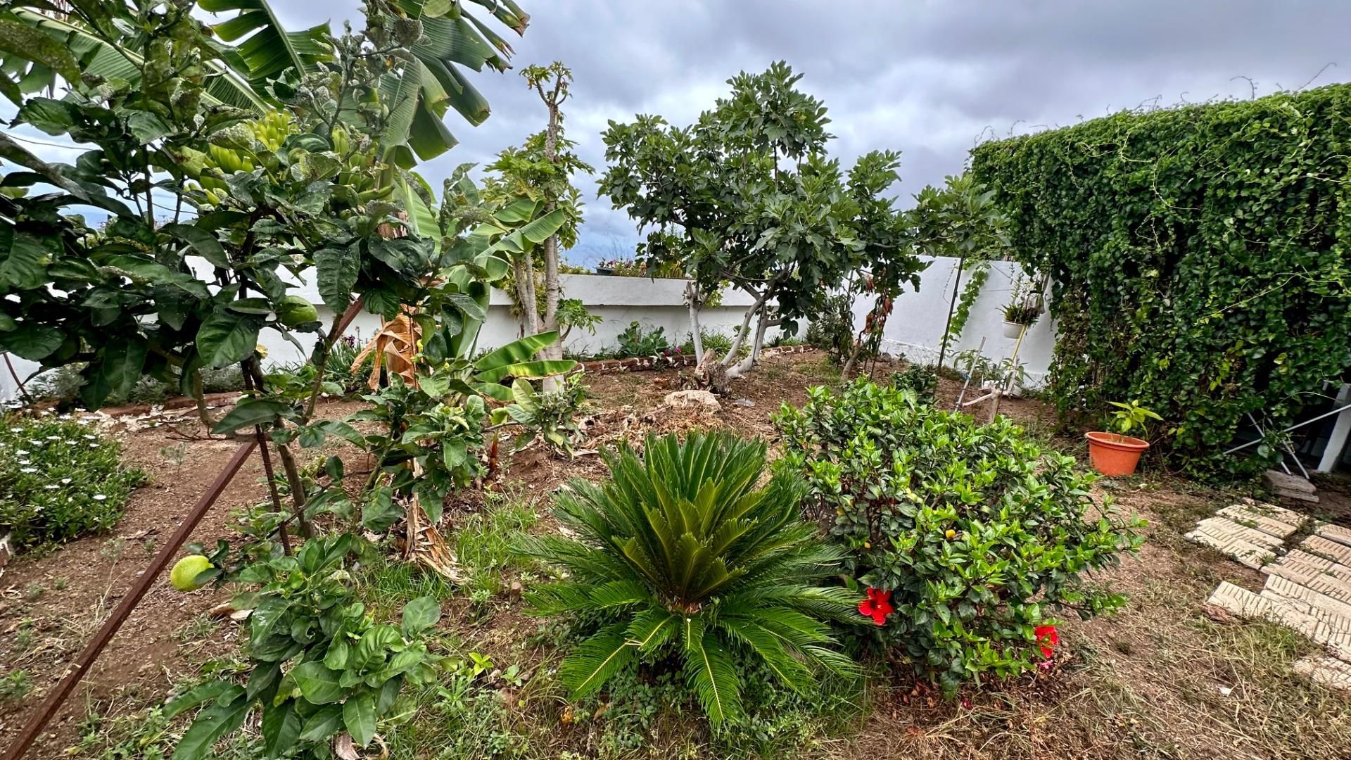 Pis en venda en La Matanza de Acentejo amb Jardí privat i Terrassa