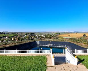 Garden of Country house for sale in Mairena del Alcor  with Air Conditioner, Private garden and Terrace