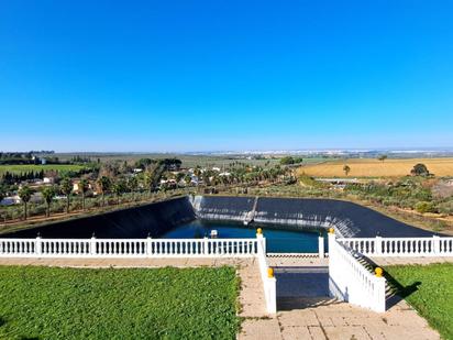 Jardí de Finca rústica en venda en Mairena del Alcor amb Aire condicionat, Jardí privat i Terrassa