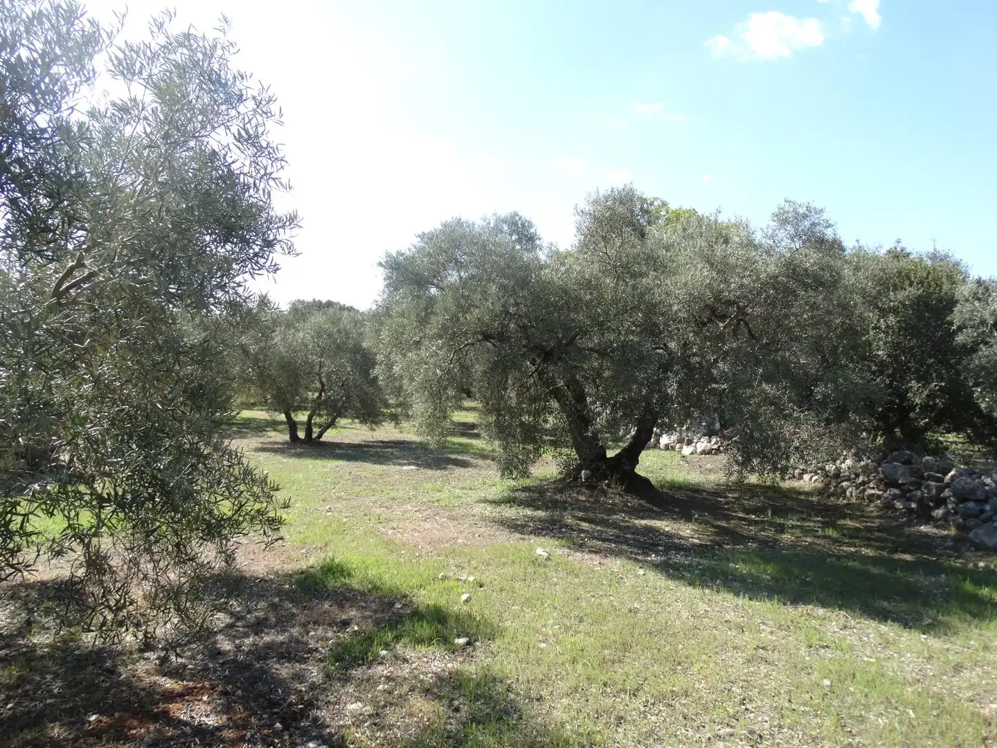 Rustikales Grundstück zum Verkauf in Villanueva del Rosario, imagen 10