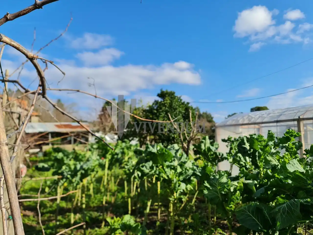 Terreno residenziale in vendita a A Cañiza, imagen 6