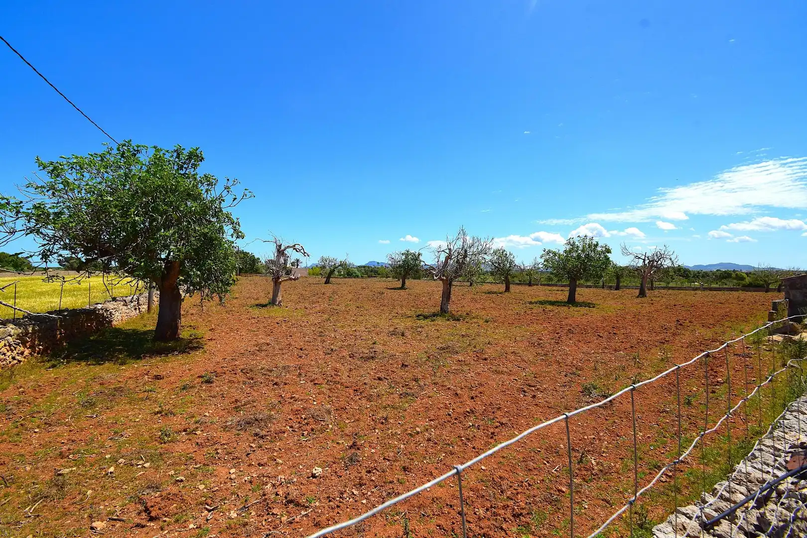 Residential land for sale in Santa Margalida Poble, imagen 8