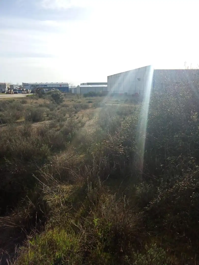 Terrenos y solares en venta en Malpartida de Cáceres, imagen 7