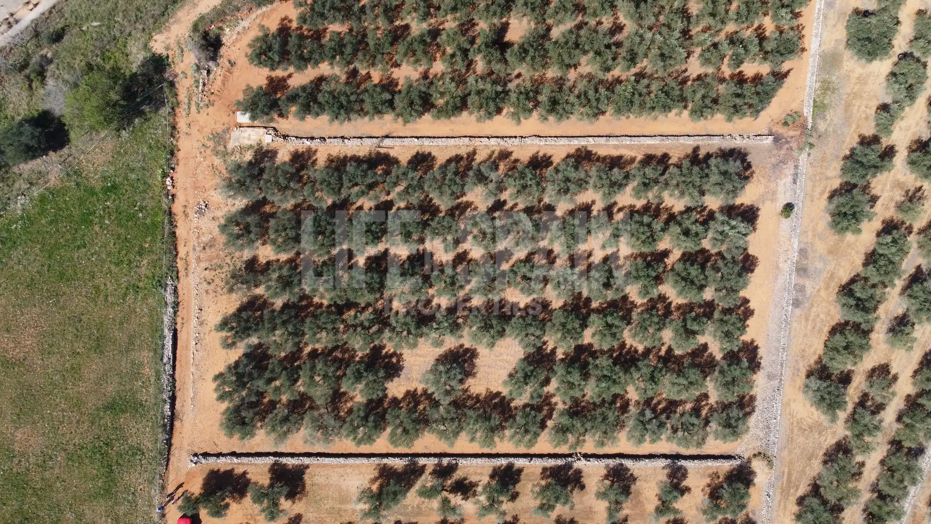 Terreno rustico in vendita a Freginals, imagen 3