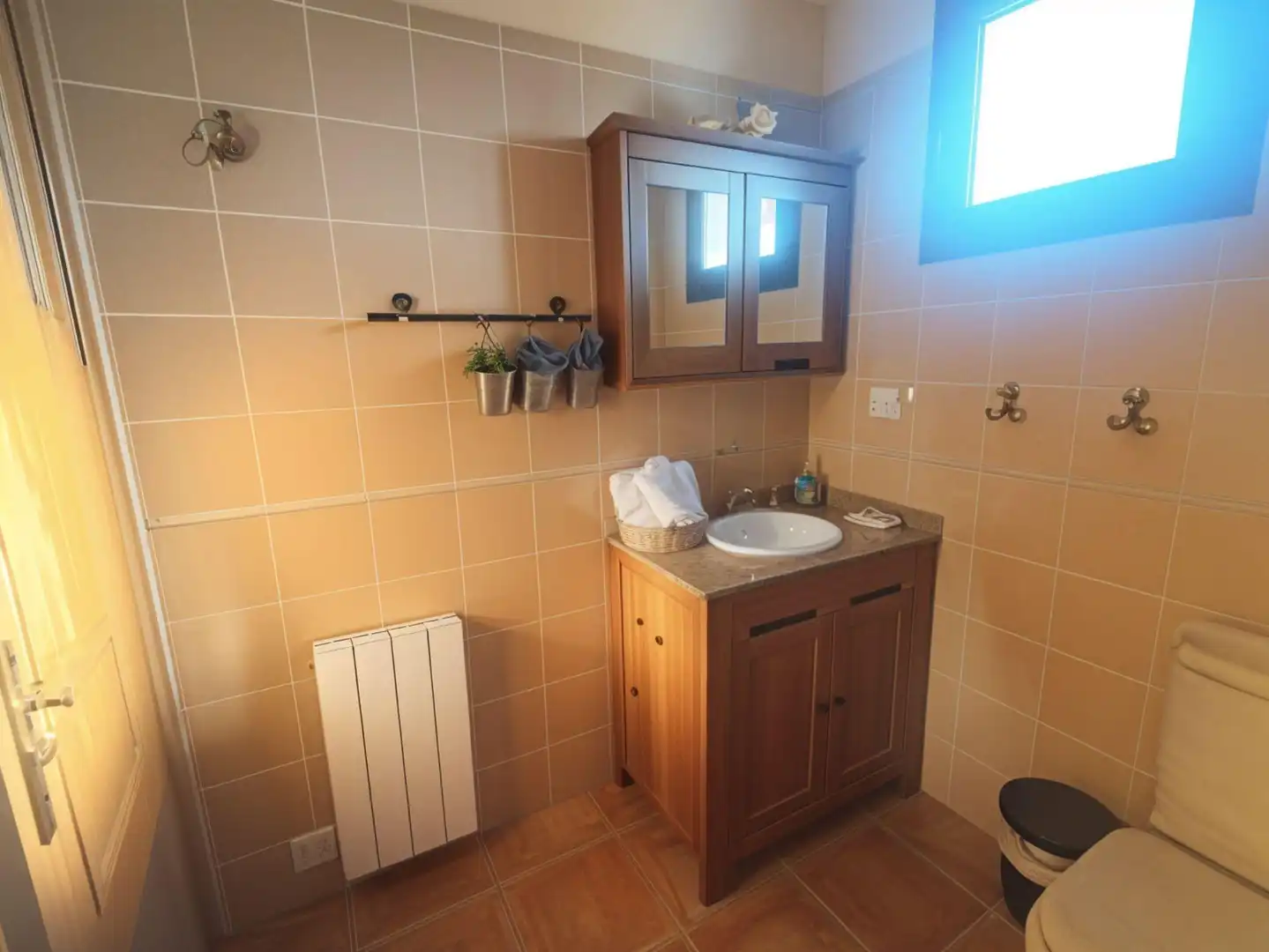 Bathroom of Apartments for sale in Fondón  with Air Conditioner, Heating and Terrace