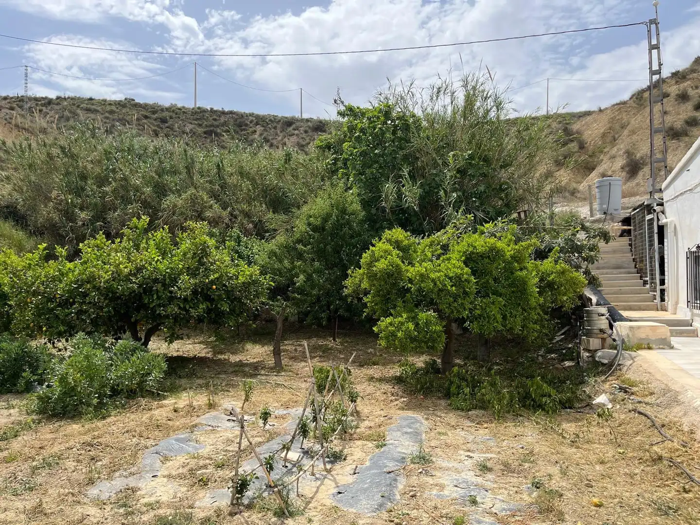 Finca rústica en venta en Fines