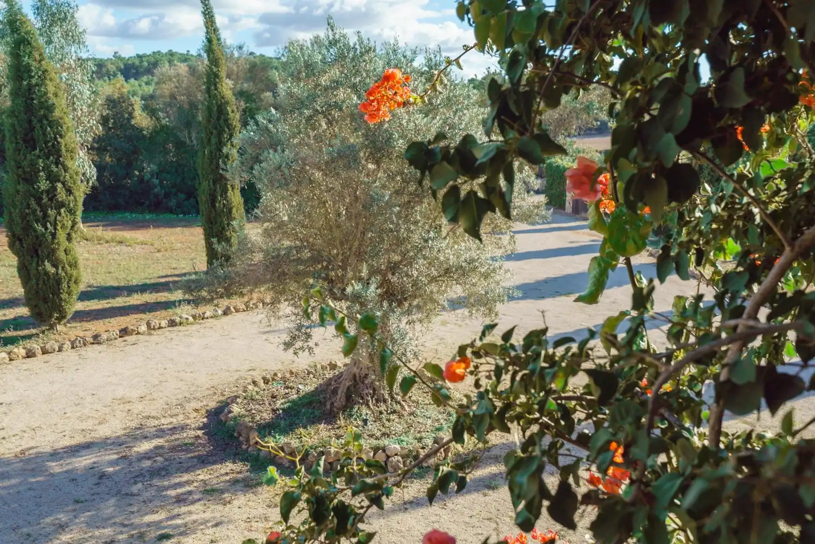 Casa rústica amb terrassa en venda a Algaida, imagen 27