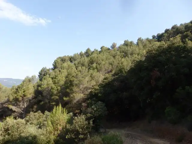 Terreno en venta en L'Aleixar