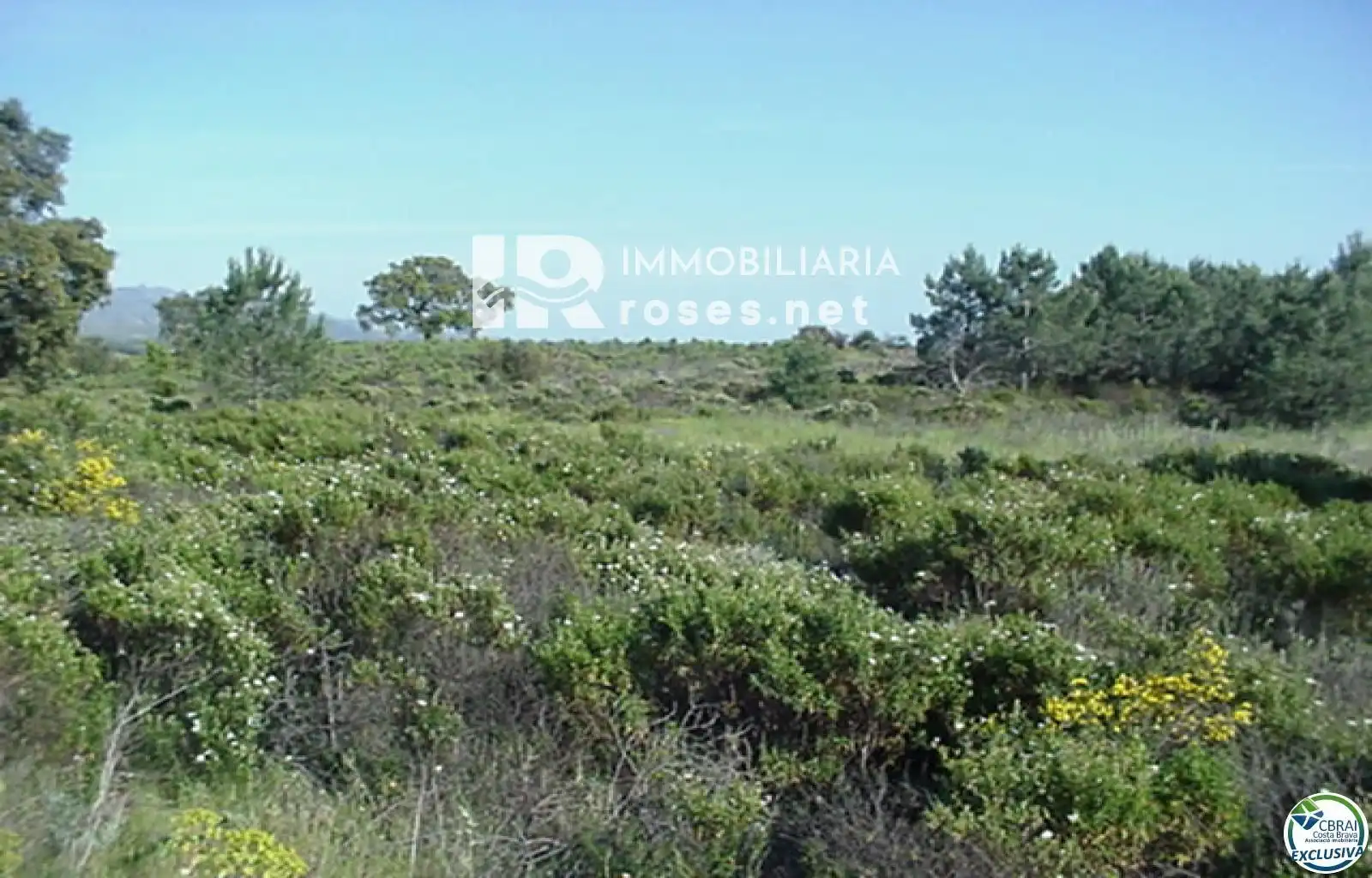 Rural land for sale in Butaros, imagen 16