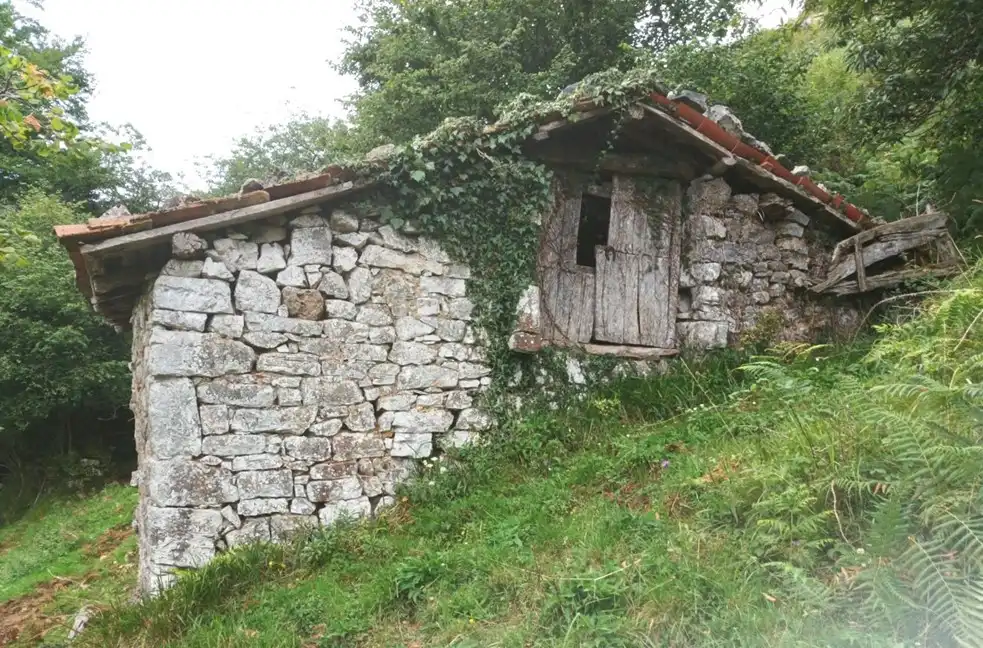 Vista exterior de Finca rústica en venda en Parres