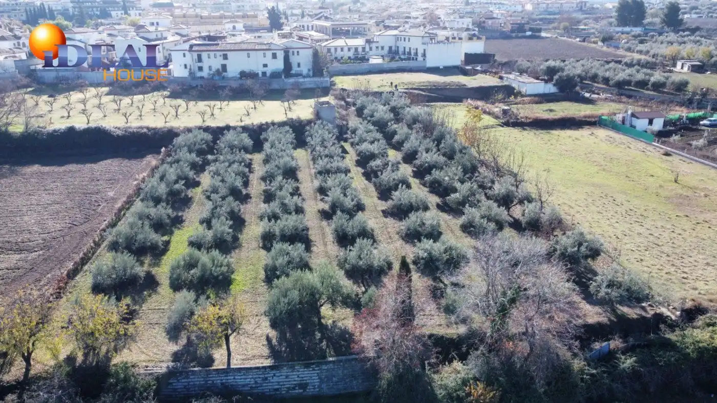 Finca rústica en venta en La Zubia Ciudad