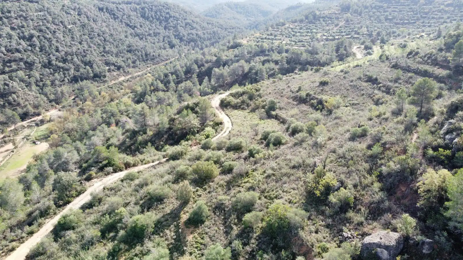 Terreno rustico in vendita a Cervià de Les Garrigues, imagen 44