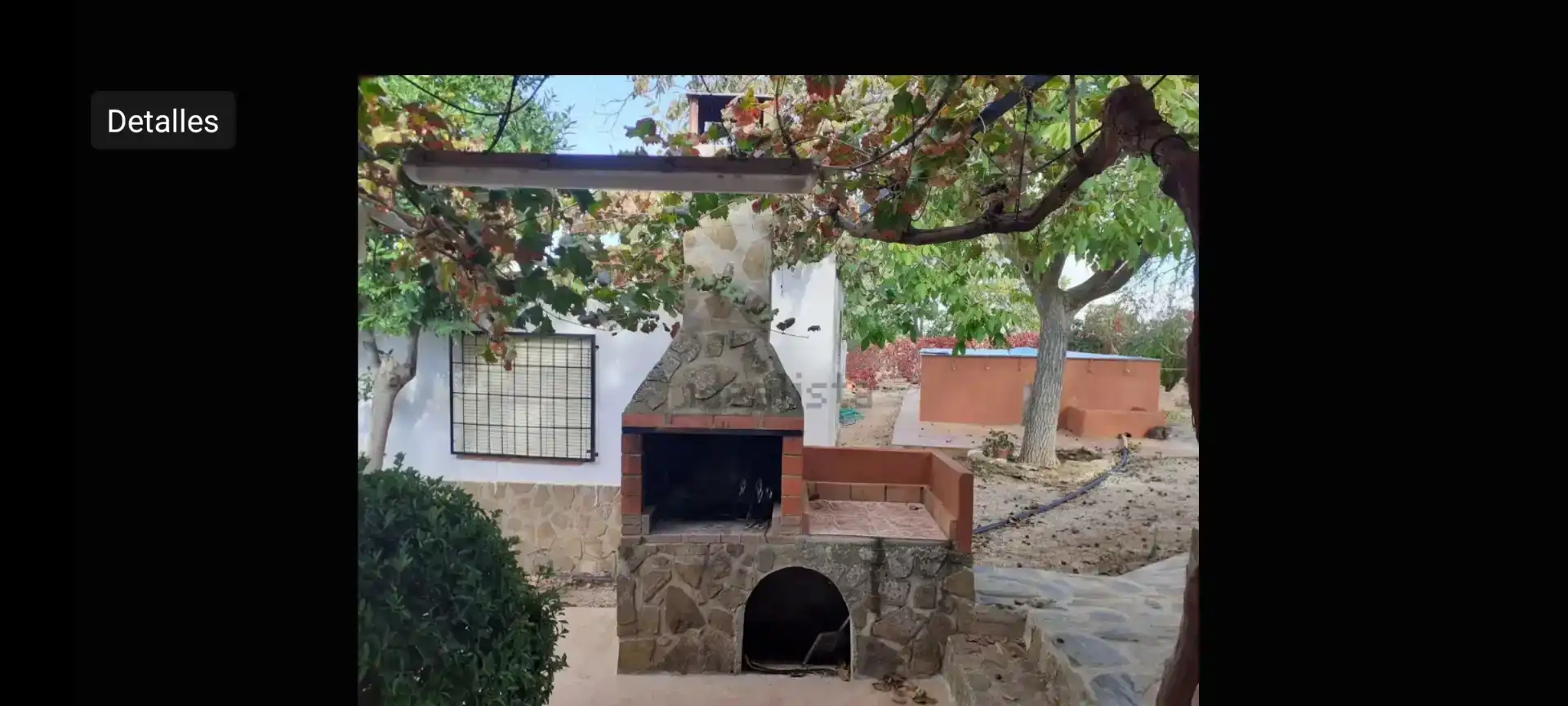 Jardí de Finca rústica en venda en Santa Cruz de Mudela amb Jardí privat, Traster i Piscina