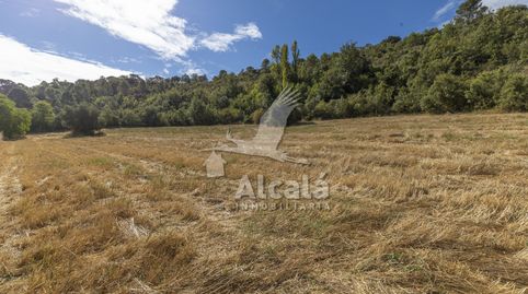 Terrenos rústicos en venta en Hueva Guadalajara, immagine 2