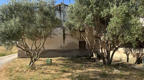 🏡 FINCA CON CASA, SITIO CON ENCANTO A SOLO 8 MINUTOS DE CEHEGÍN 🏡 Super oportunidad, imagen 5