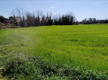 Terreny residencial en venda a Avinguda de Catalunya 2