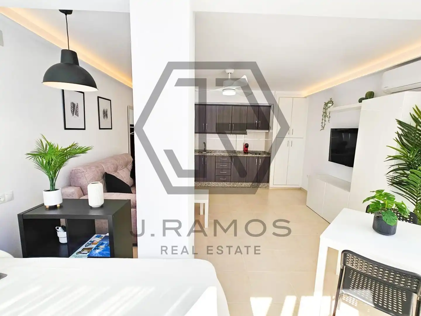 Study for rent in calafate, Centro