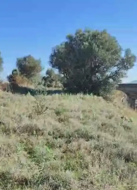 Rural land for sale in Agoncillo, imagen 3