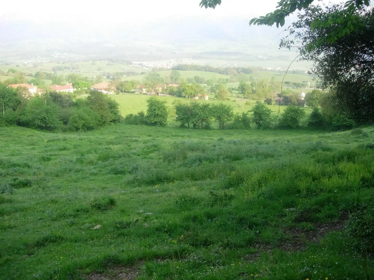 Terreni e lotti in vendita a Valle de Mena, imagen 10