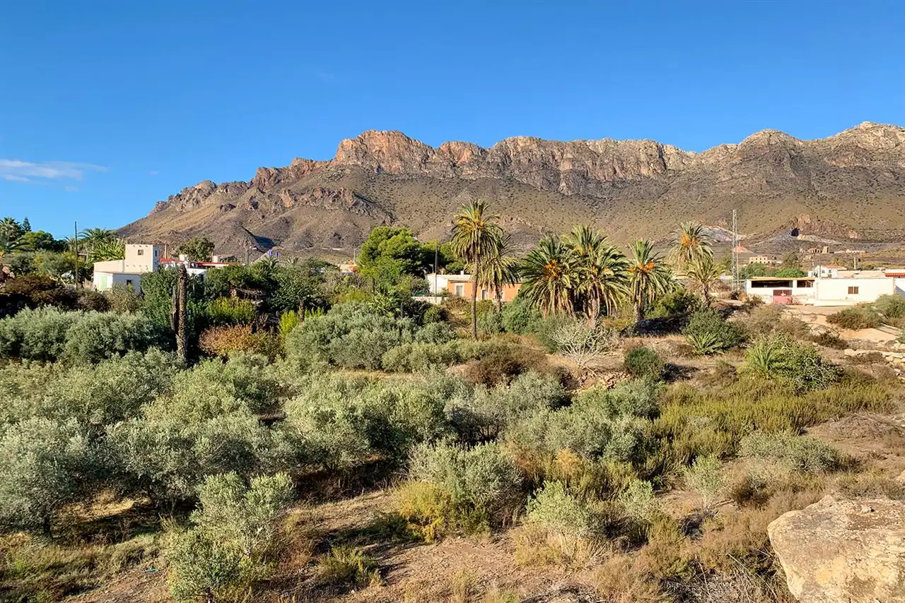 Apartment with pool for sale in San Juan de los Terreros, imagen 24