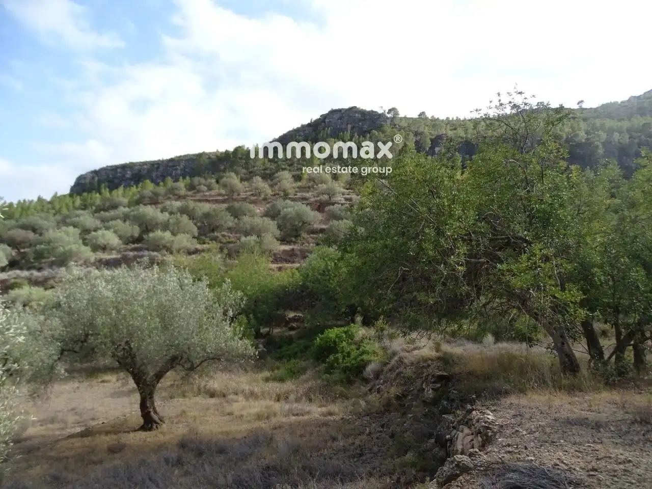 Villa à vendre à Paüls, imagen 7
