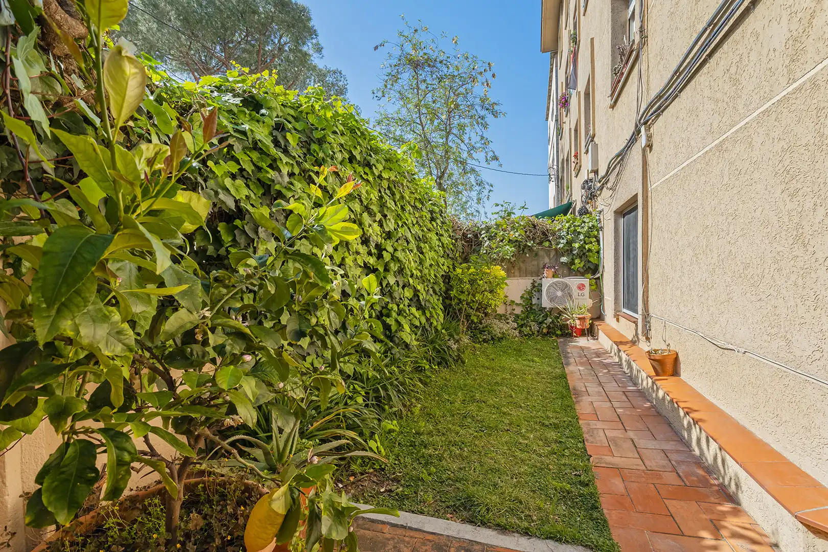 Wohnung mit Garten zum Verkauf in Carrer del Doctor Letamendi, imagen 6
