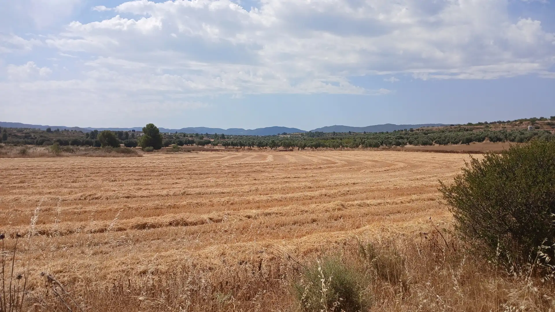 Terreno en venta en Castelserás, Teruel