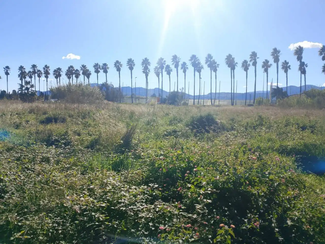 Terreno en venta en Oliva