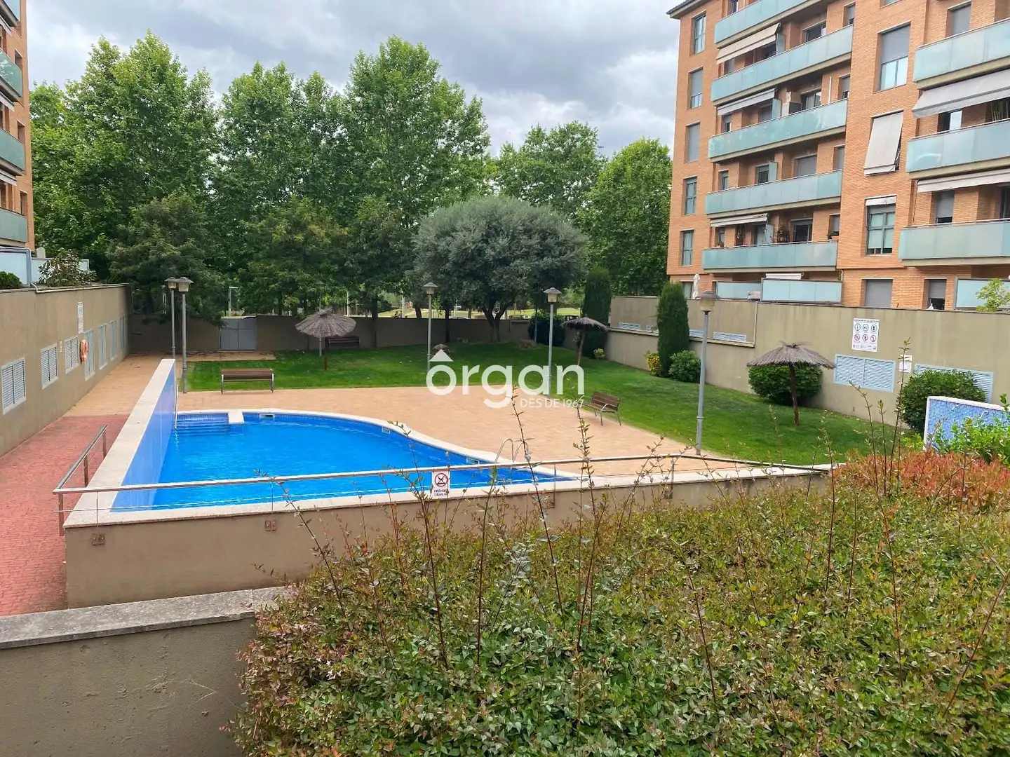 Jardín de Piso en venta en Coll Favà