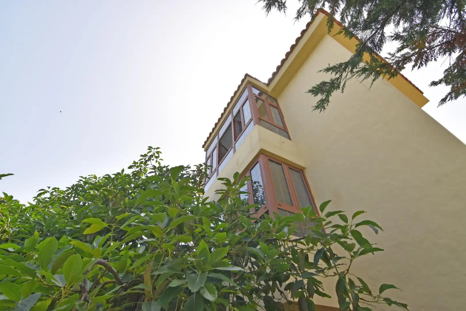 Vista exterior de Casa o chalet en venta en Firgas