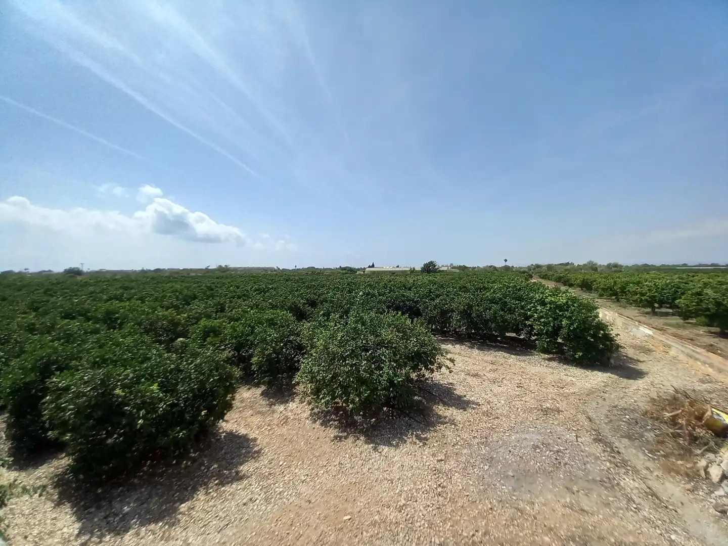 Terreno rustico in vendita a Costa Norte, imagen 27