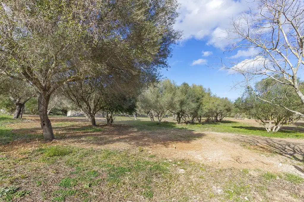 Land for sale in Pollença