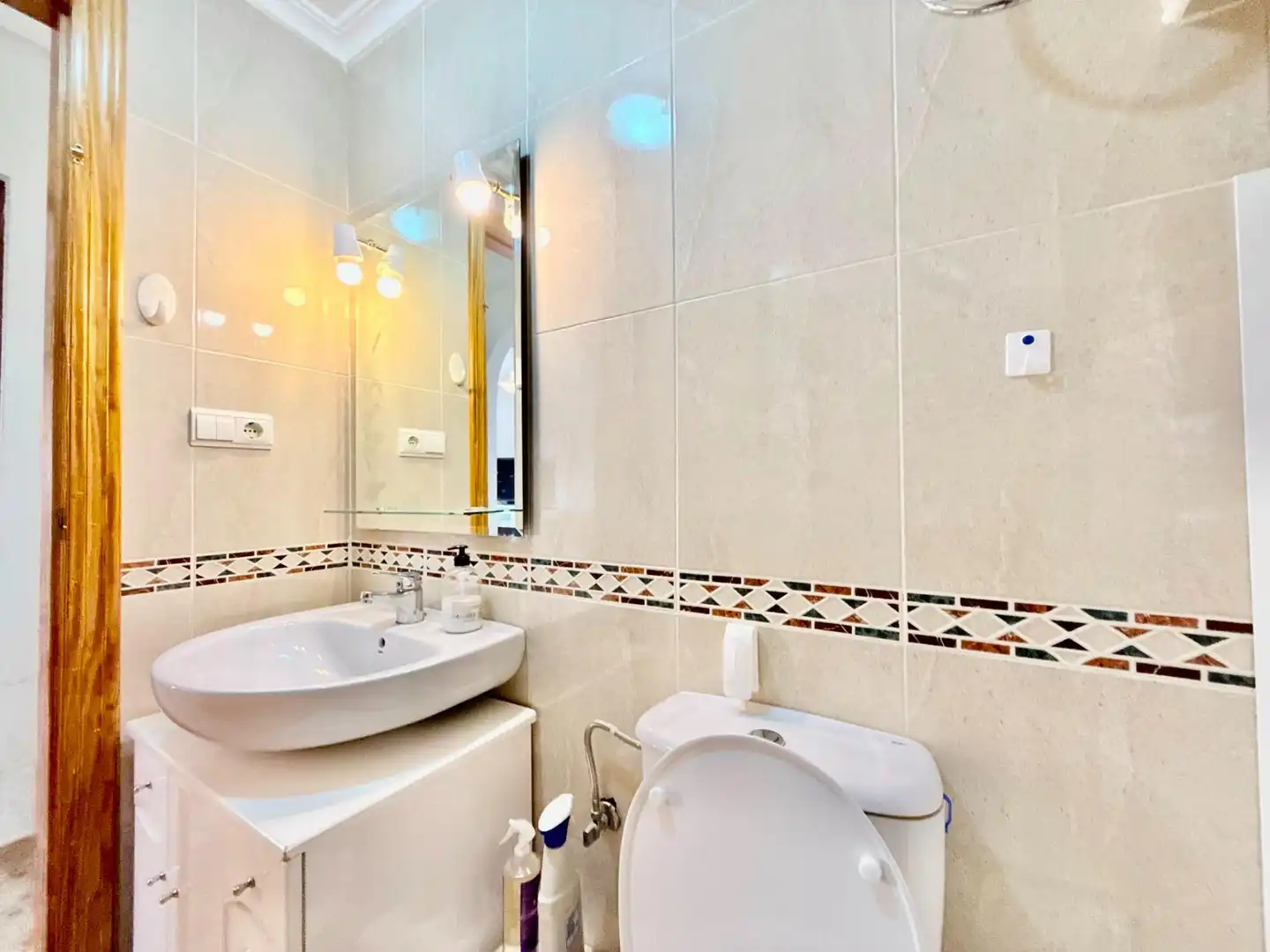 Bathroom of Detached homes for sale in Pilar de la Horadada  with Air Conditioner, Private garden and Terrace