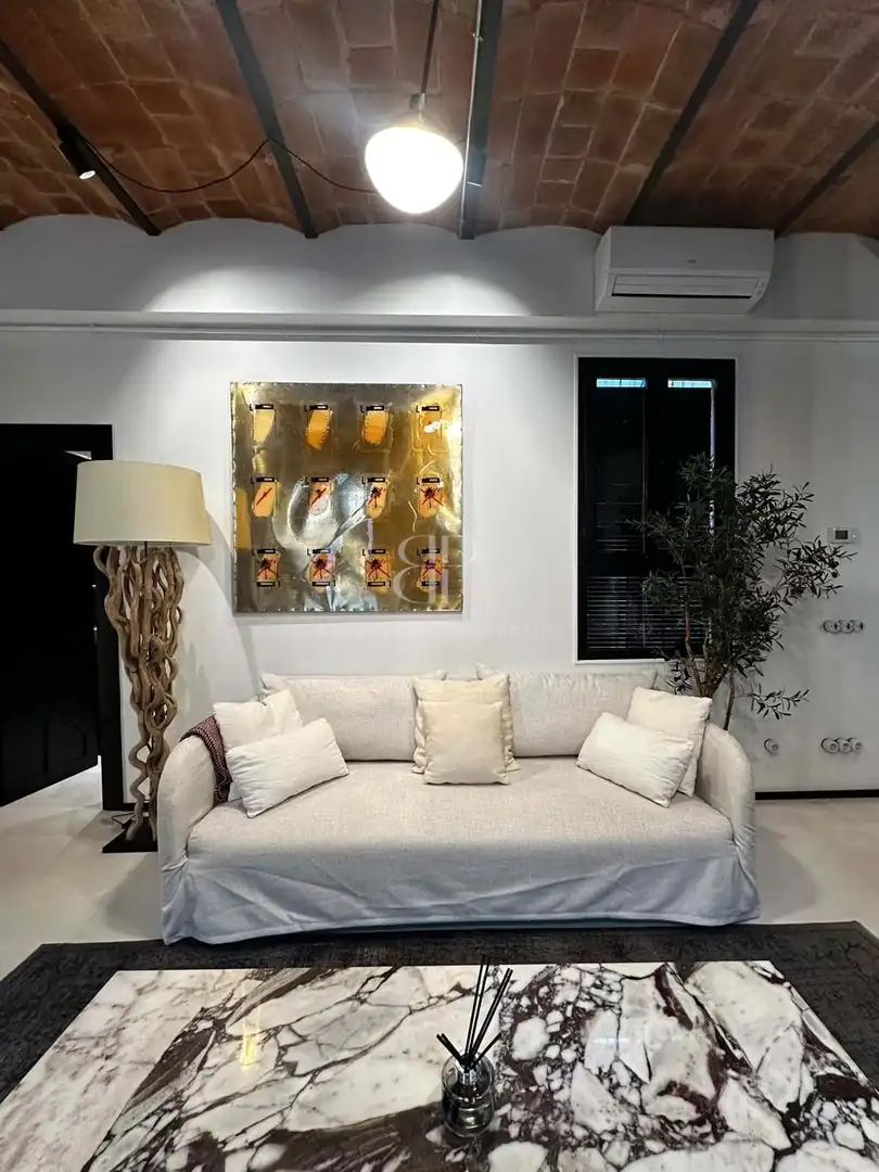 Appartamento con terrazza in affitto a El Barri Gòtic, imagen 45