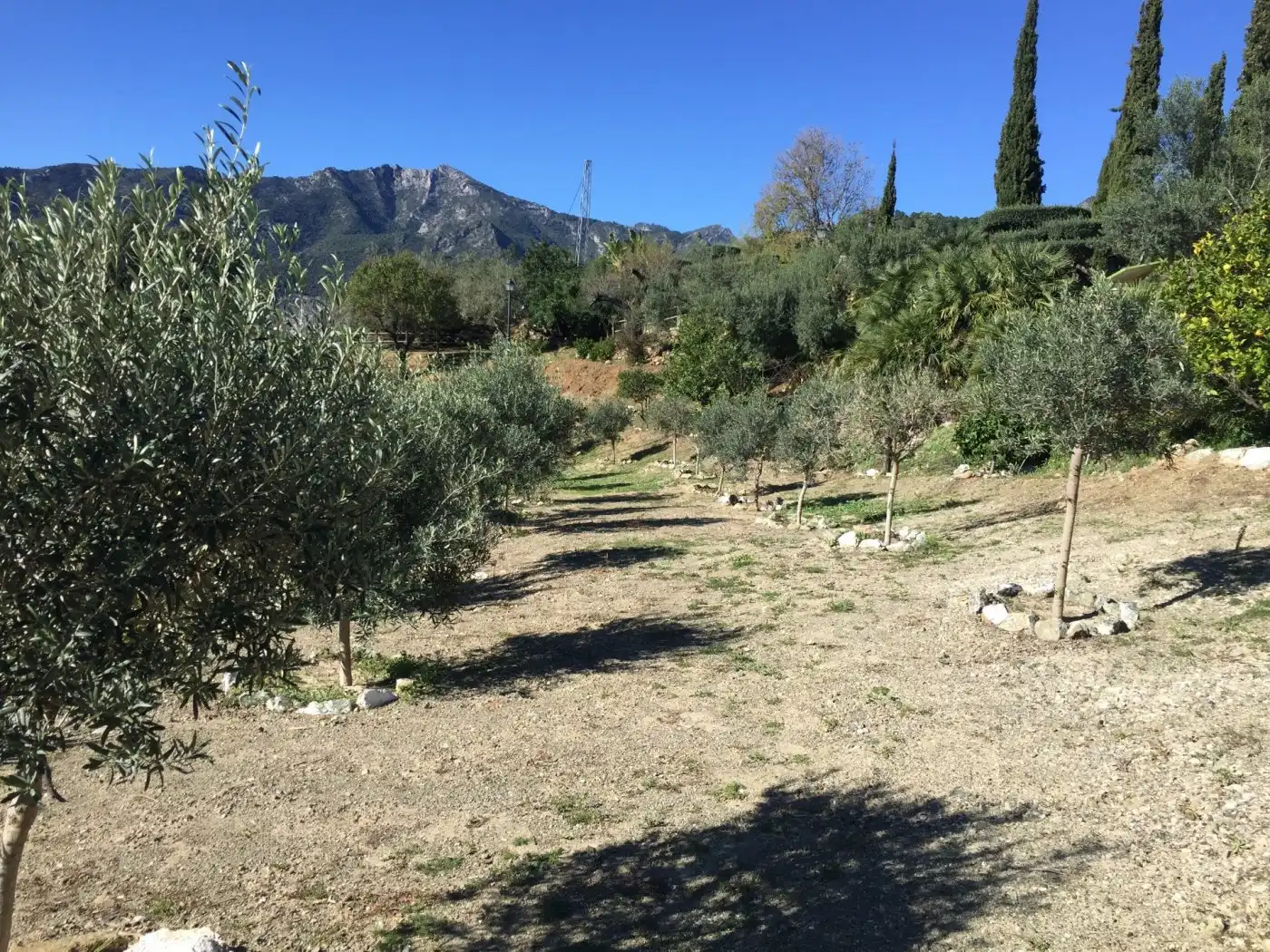 Garten von Country house zum Verkauf in Ojén mit Klimaanlage, Privatgarten und Terrasse