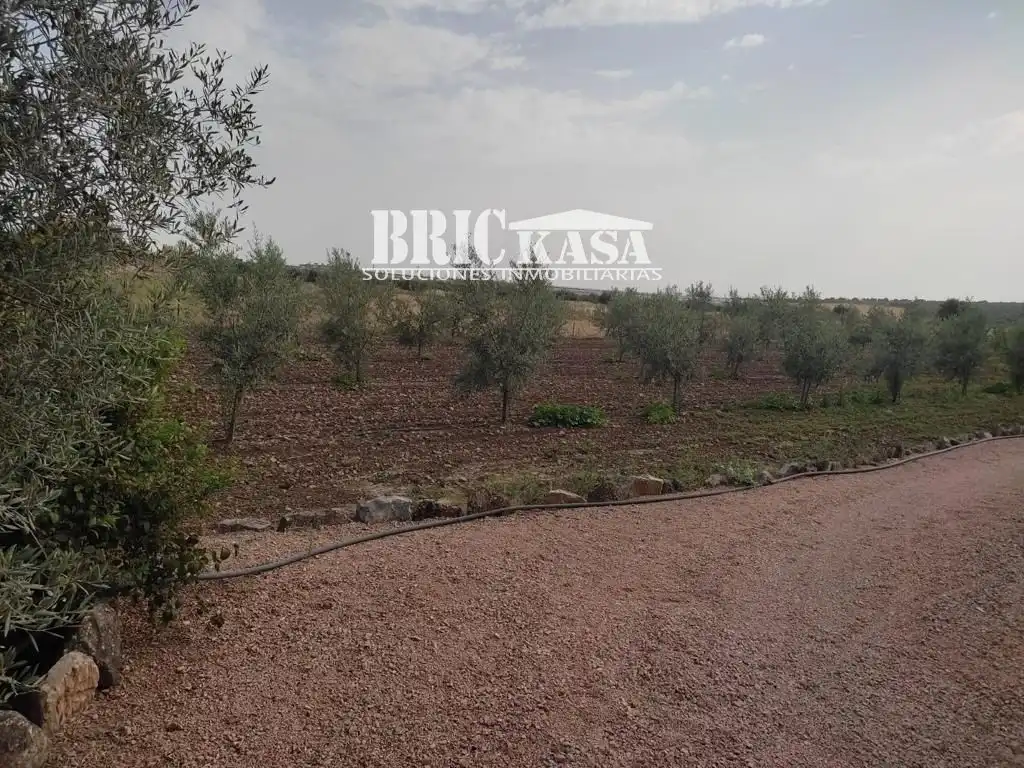 Residencial en venda en Almendral