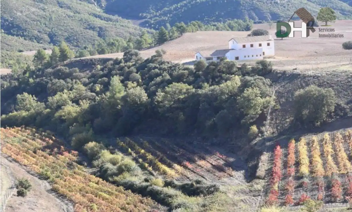 Terreni e lotti in vendita a San Fernando - Carretera de Valencia, imagen 2