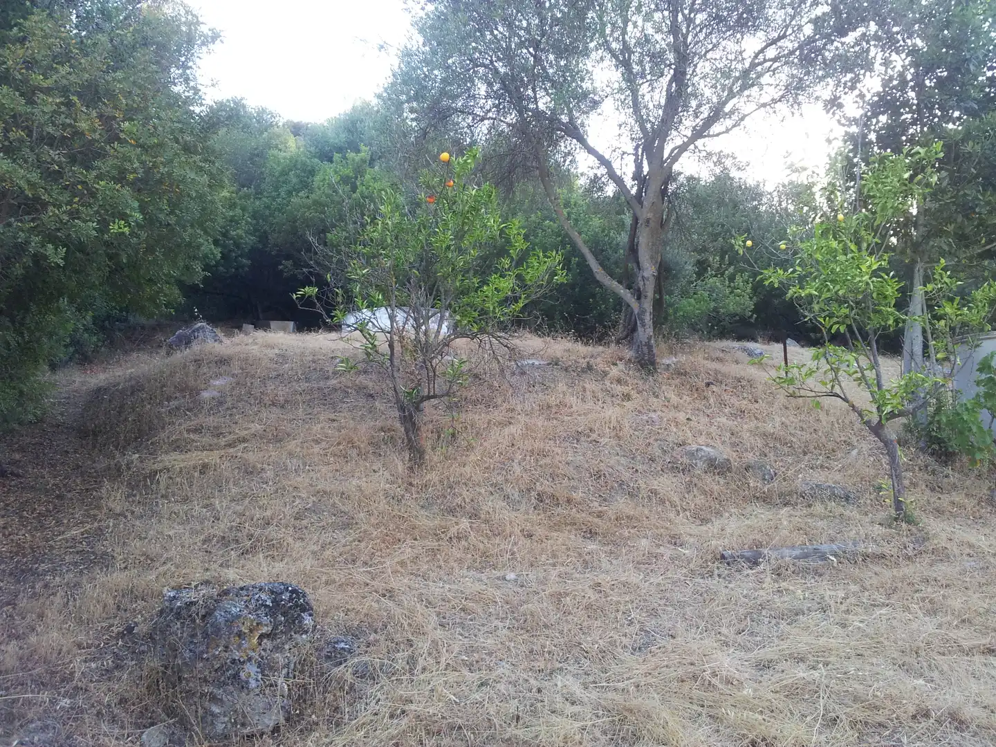Finca rústica en venta en Ubrique