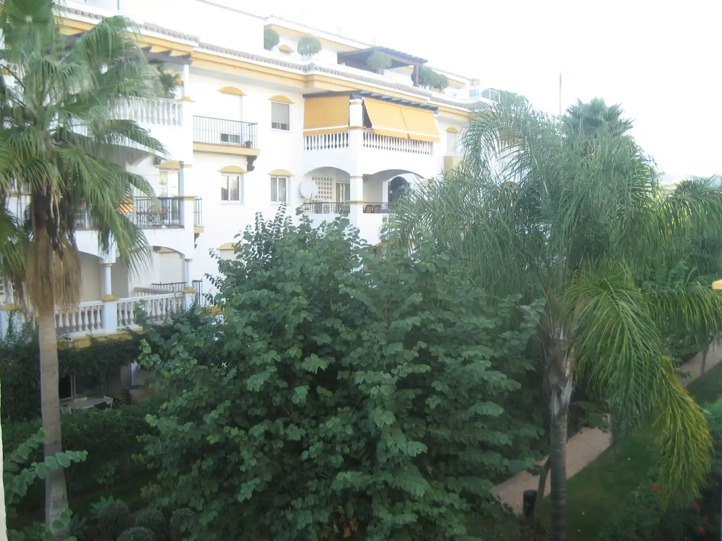 Jardí de Apartament de lloguer en Marbella amb Aire condicionat, Moblat i Piscina comunitària