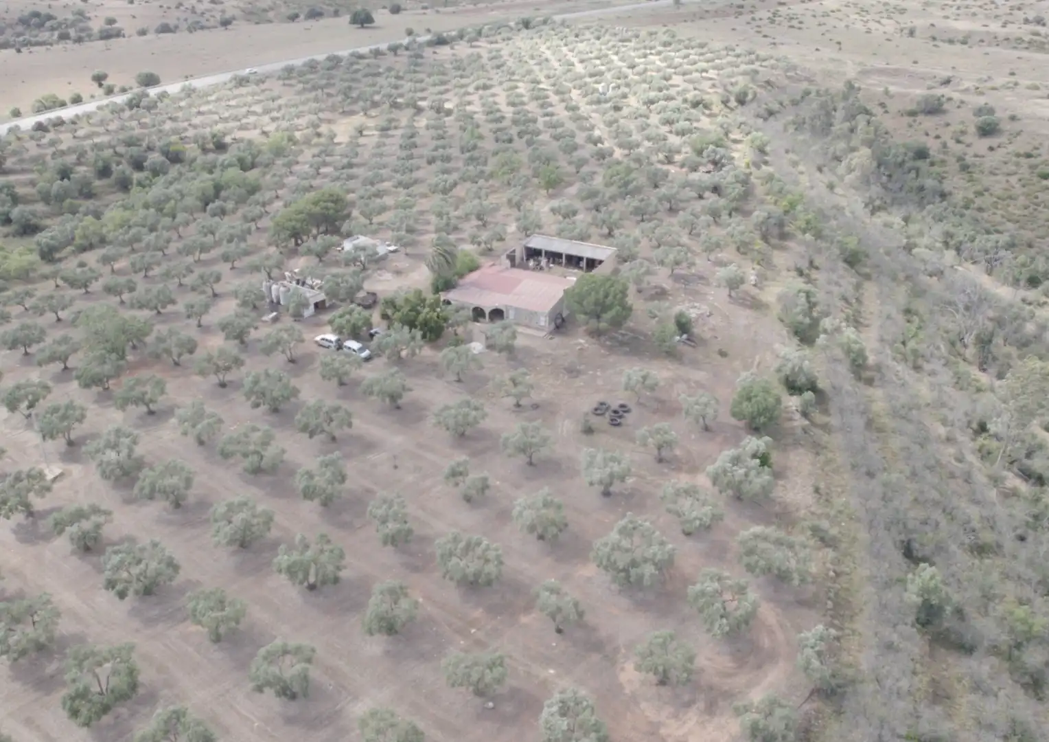 Finca rústica en venta en La Palma del Condado con Jardín privado, Terraza y Trastero