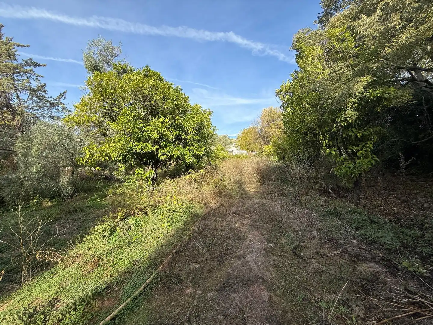 Wohnbaugrundstück zum Verkauf in Norte-Sierra, imagen 8