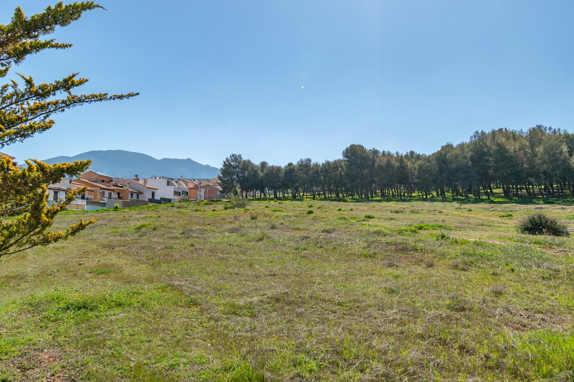 Casa o chalet en venta en Calle JULIAN BESTEIRO, La Zubia Ciudad