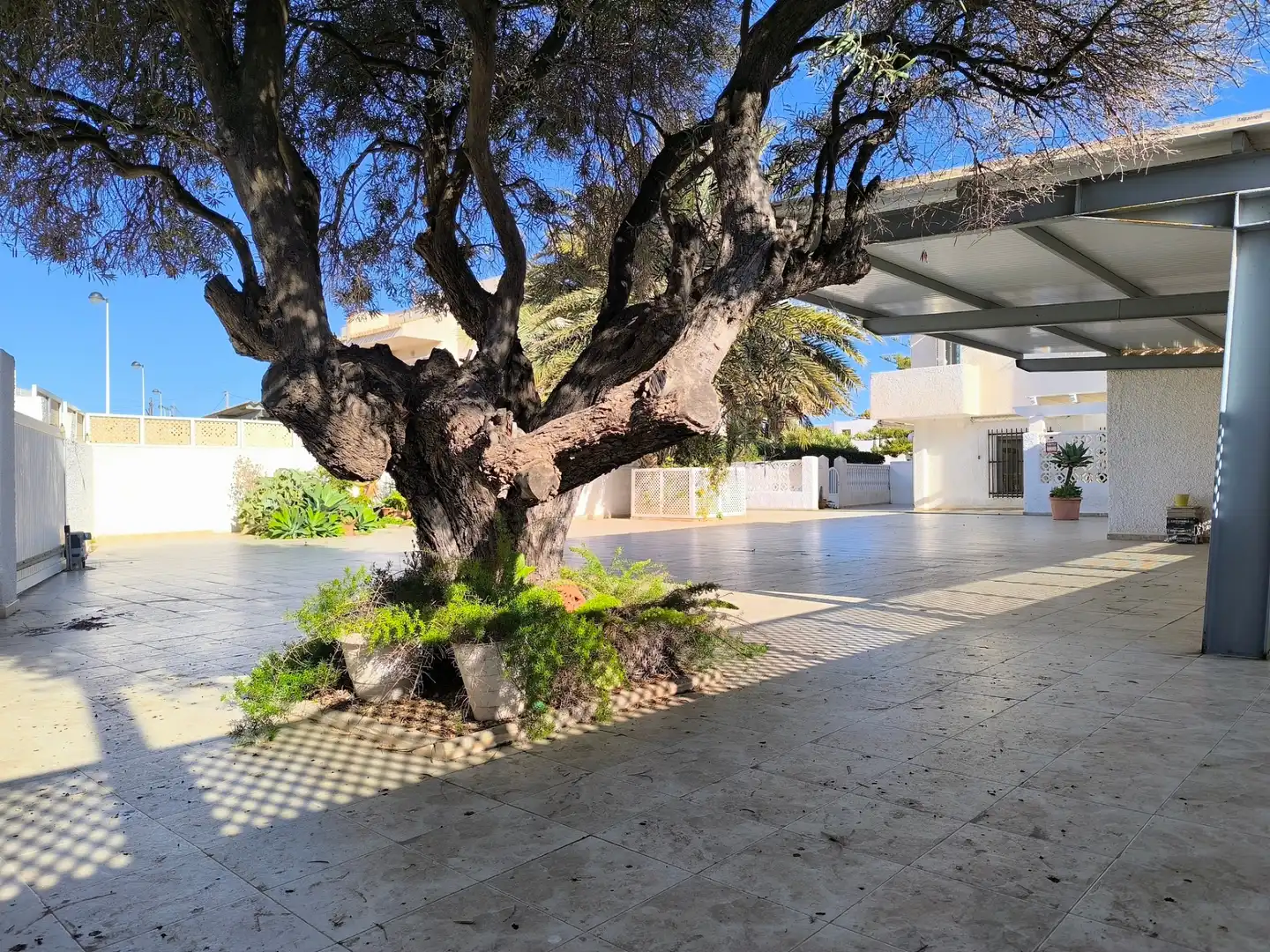 Vista exterior de Casa o chalet en venta en Cartagena con Aire acondicionado, Calefacción y Jardín privado