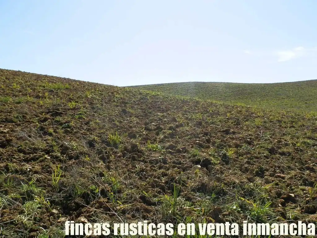 Terreno rustico in vendita a Casco Histórico, imagen 18