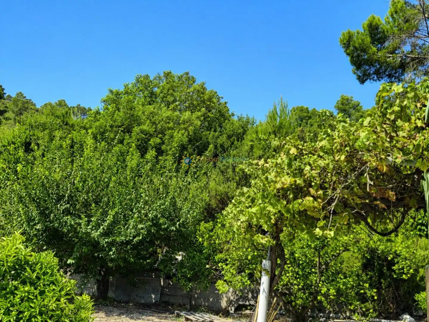 Finca rústica en venda en Sellent amb Terrassa, Traster i Piscina