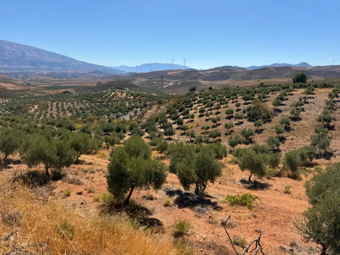 Terreno rustico in vendita a Camino de la Sierra, imagen 11