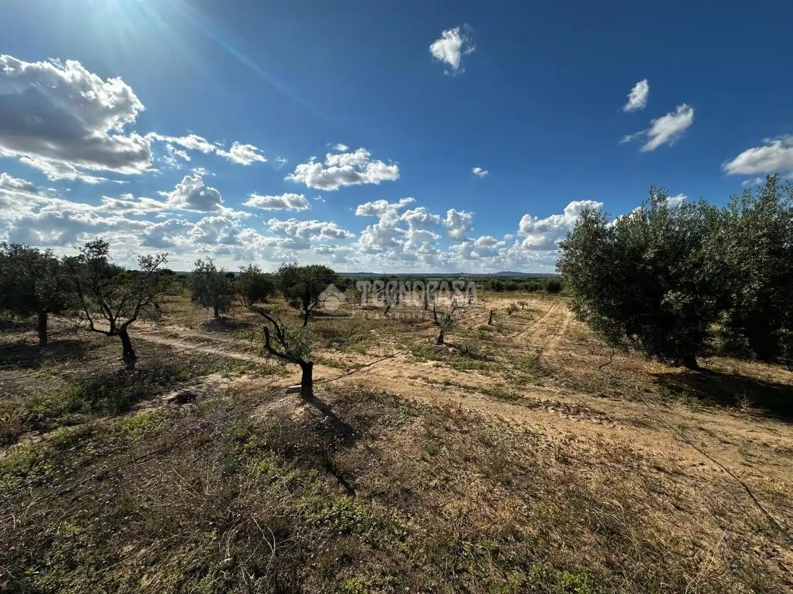 Land for sale in Guareña