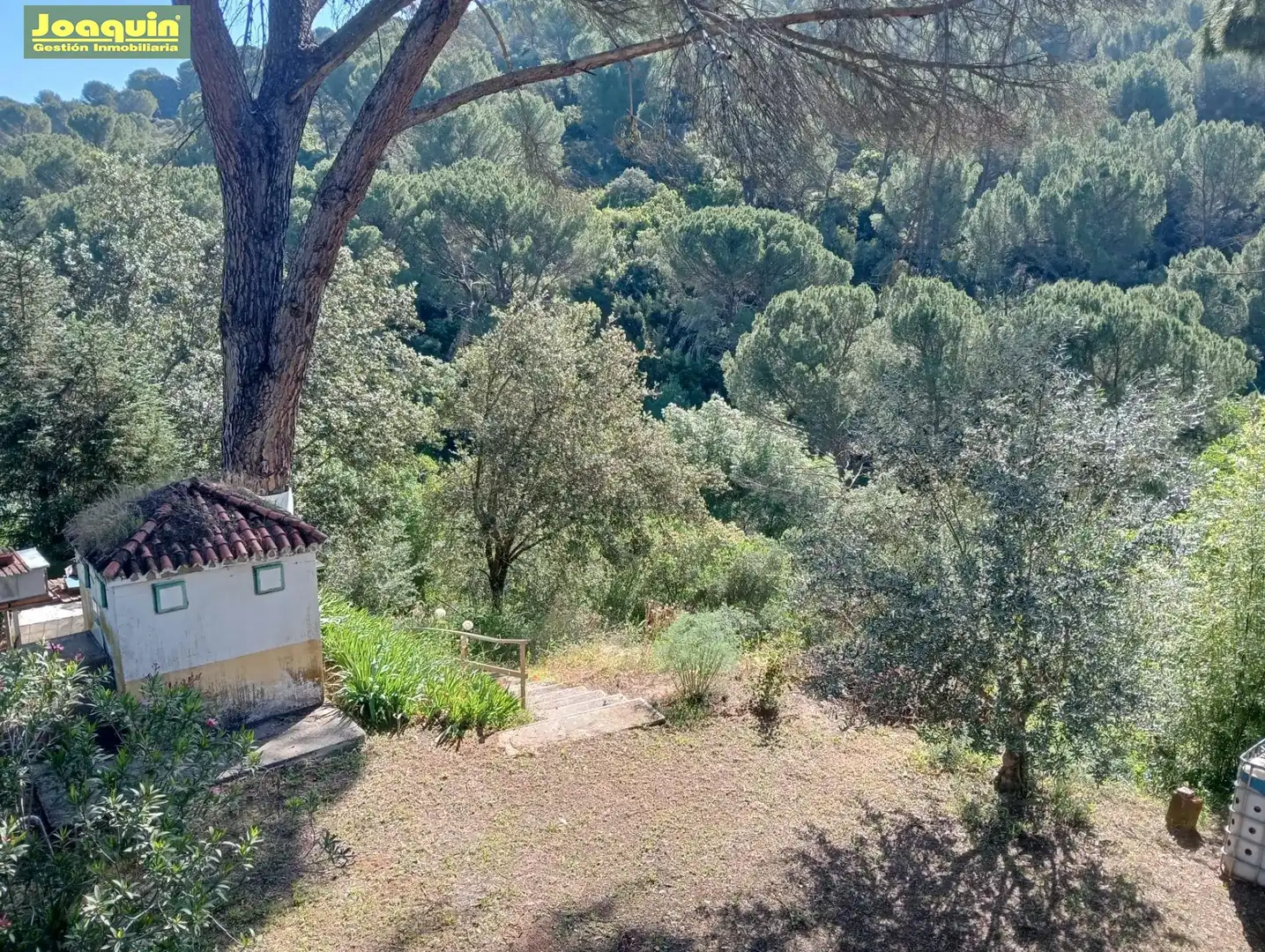 Jardí de Finca rústica en venda en Córdoba