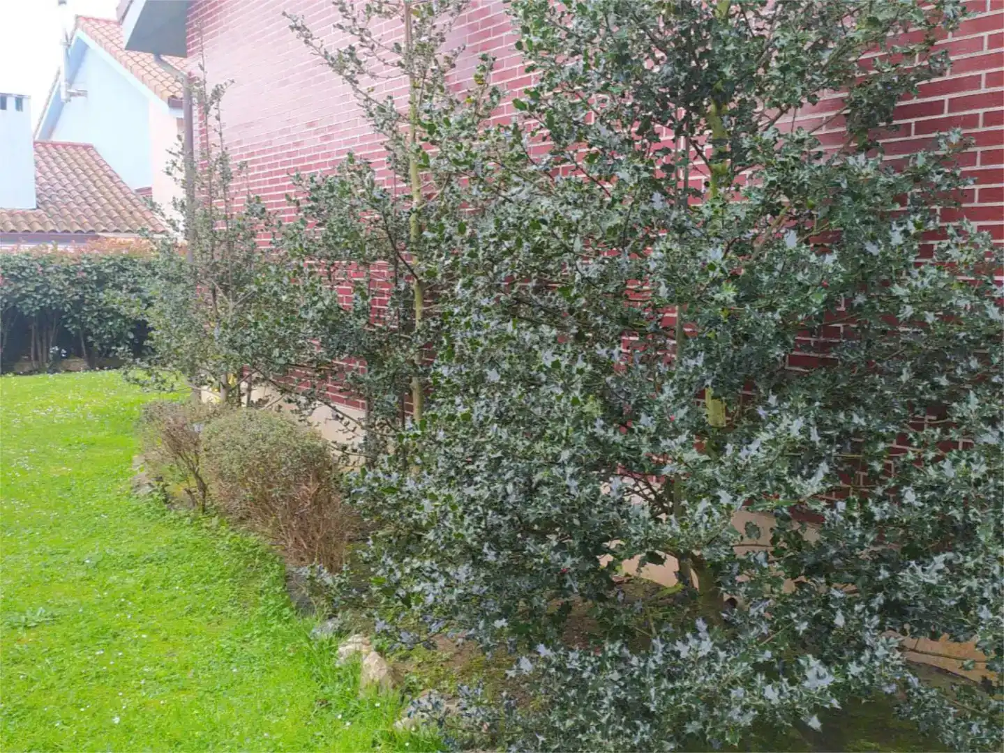 Jardí de Casa o xalet en venda en El Astillero   amb Balcó